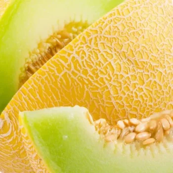 HiLIQ メロン リキッド