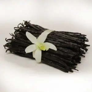Vanilla